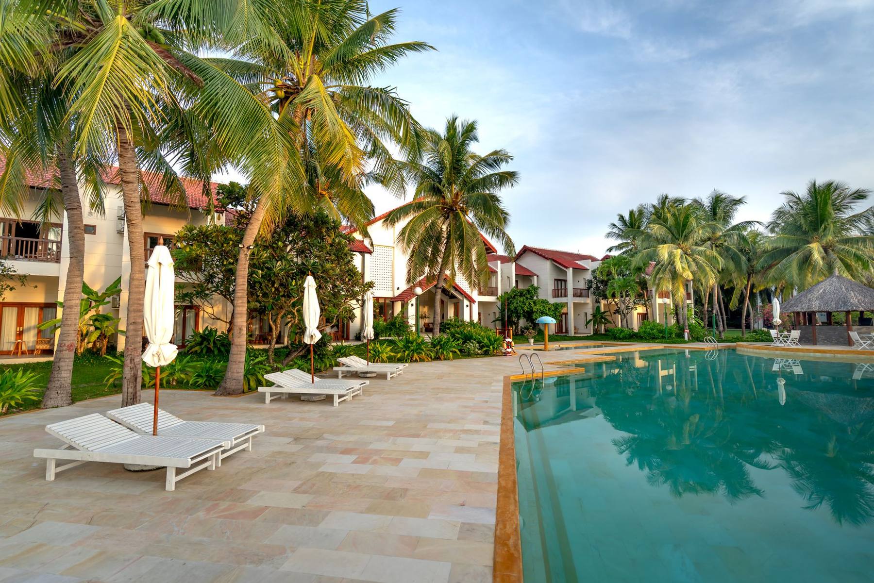 Resort pool deck ringed with palm trees on a bright afternoon