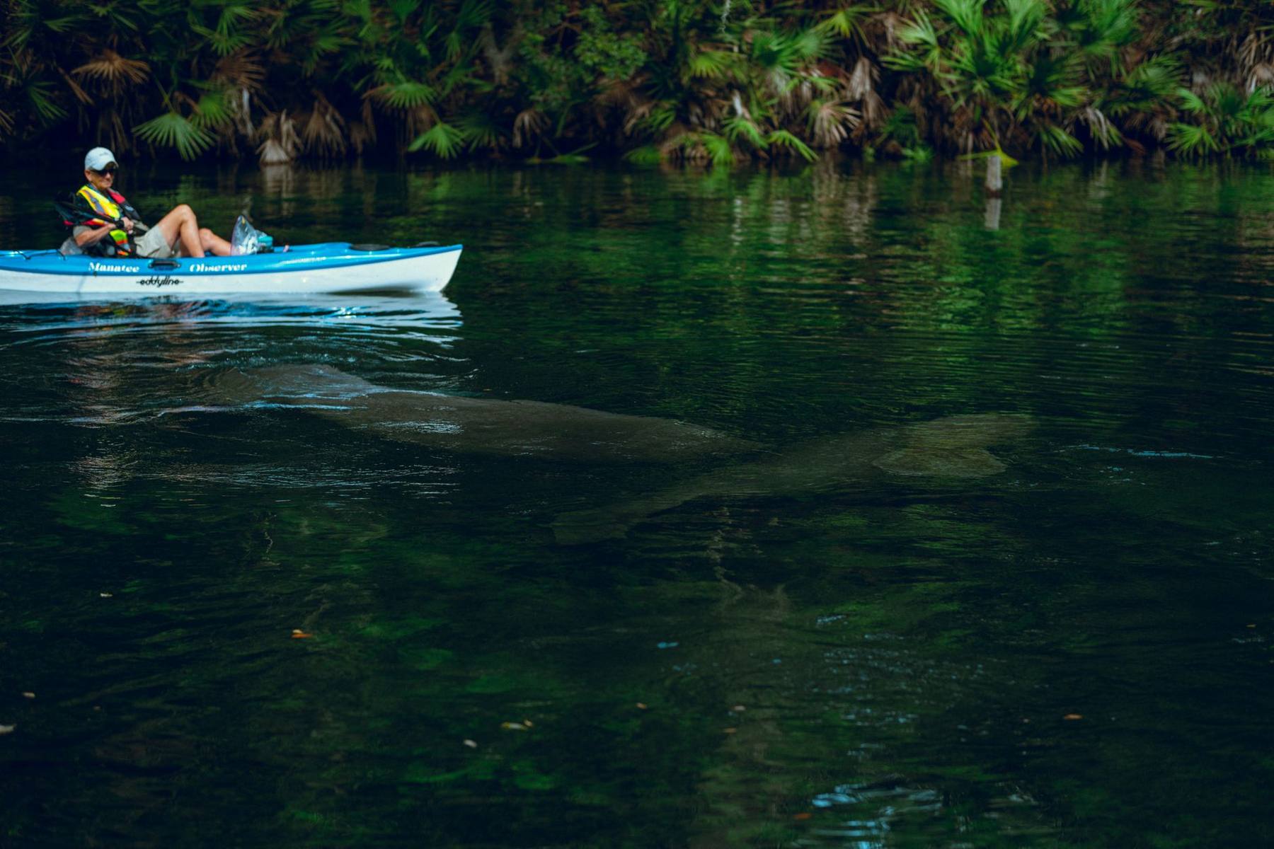 Kayak on clear spring water surrounded by greenery